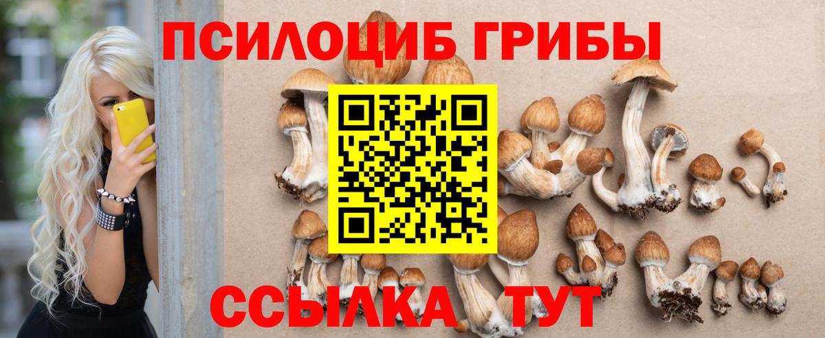 Галлюциногенные грибы Cubensis Елизово